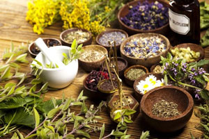 صادرات گیاهان دارویی به آلمان با شرکت بازرگانی و حمل و نقل بین المللی تی جی اکسپورت