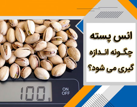 سود صادرات پسته شرکت واردات و صادرات تی جی اکسپورت