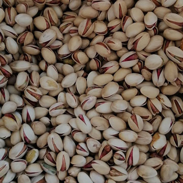 بهترین کشور برای صادرات پسته شرکت بازرگانی و تجاری تی جی اکسپورت