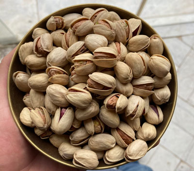 صفر تا صد صادرات پسته شرکت تی جی اکسپورت