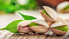 صادرات پسته