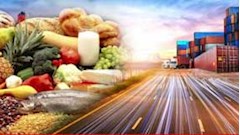 صادرات مواد غذایی