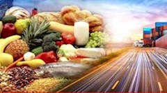 صادرات مواد غذایی